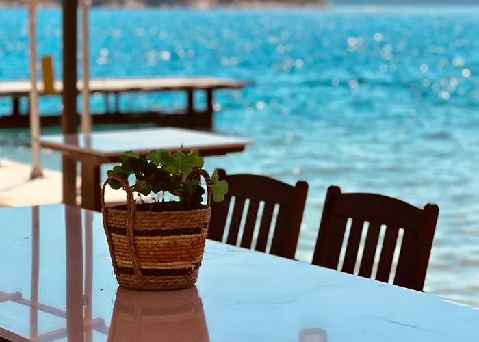 Дом отдыха House Nono *